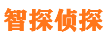 潘集调查公司